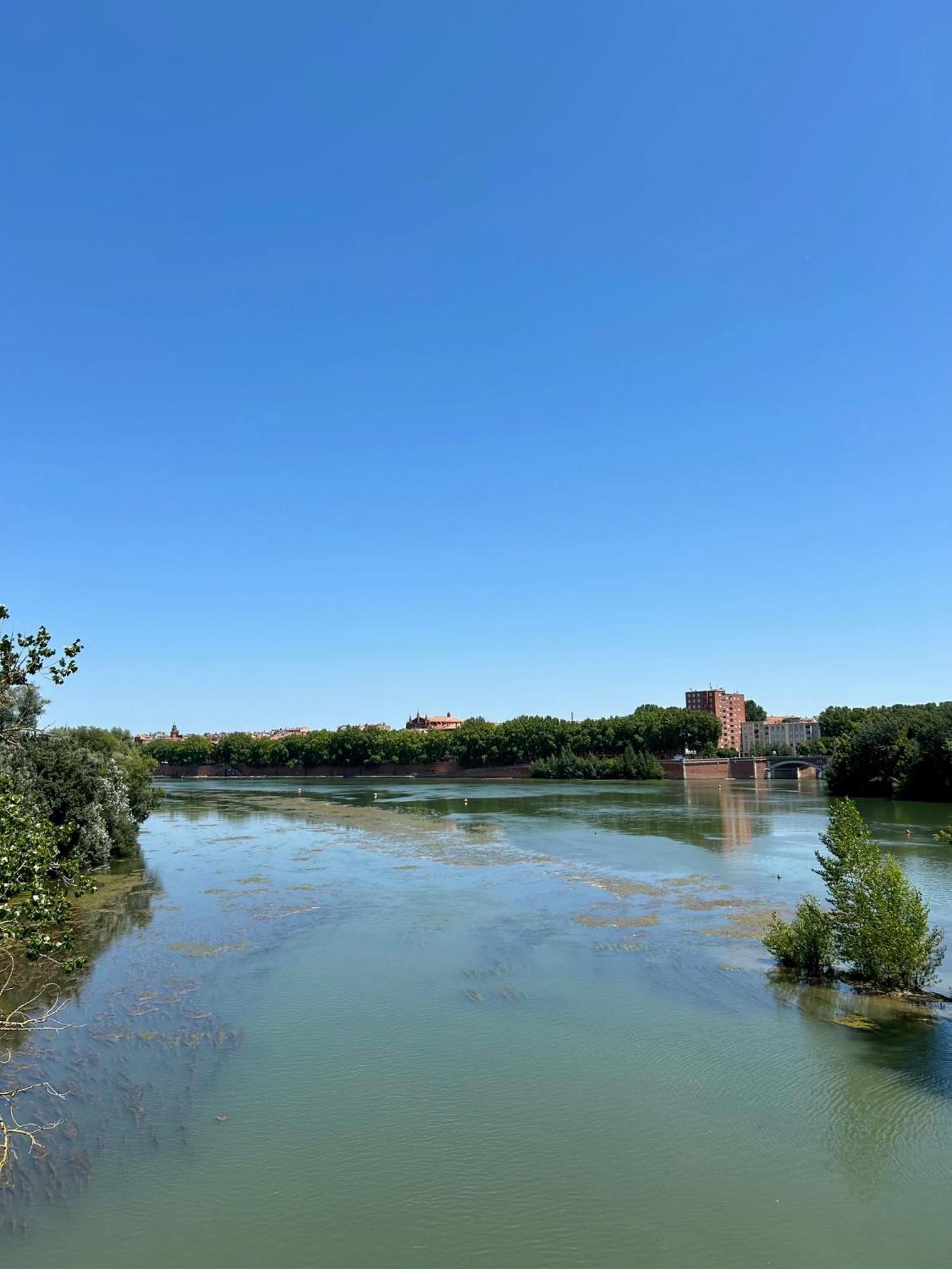 Loft Garonne - Centre Ville Immeuble Privatif Toulouse Buitenkant foto